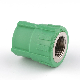 Injection Molding Machine PPR Water Pipe Fitting End Cap PPR Pipe Fittings