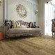 Kangton 100% Waterproof Spc / EU Oak Wspc Floor / Lvt Plank/ Rigid Flooring manufacturer