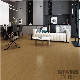 Gitia Indoor Use Anti-Static Luxury Vinyl Plank Spc Flooring Vinyl Floor