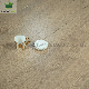 High Quality UV Coating Base Material Superior Laminate Flooring for Residential and Commercial