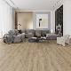  3.5mm~7mm Wood Design Spc Flooring Vinyl Flooring Click Manufacturer Commercial/Residential Plastic Floor