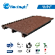 173X20mm WPC Wood Plastic Composite Wall Panel