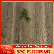  Spc Flooring Manufacturer Best Price 100% Waterproof Unilin Click 4-6mm Spc Flooring