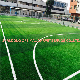 Sport Flooring Carpet Artificial Grass