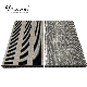 Modern Wood Plastic Composite Decking Floor Ts-04 manufacturer