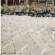  300+ Stone Color Supplier Polished Cut to Size Natural Marble Tile for Floor and Wall Decoration