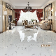  60X60 Discount High Gloss White Living Room Porcelain Floor Tile