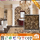 Dark Emplerado Brown Color Polished Porcelain Flooring Tile (JM6613)