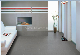 600X600mm Anti  Slip Matt Finish Glazed Porcelain Floor Tile manufacturer