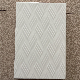 20X30cm Inkjet Glazed China Ceramic New Wall Tile