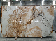 Exotic Roman Impression Quartzite Slab for Countertop, Wall & Flooring Tiles manufacturer