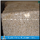 Polished Yellow Granite G682 Flooring/Wall Tiles for Kitchen and Bathroom