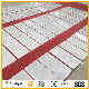 Polished Natural White/Black/Beige/Grey Granite/Marble/Travertine/Limestone/Sandstone/Quartz/Mosaic/Waterjet/Culture Stone Tiles for Floor/Flooring/Wall/Paving