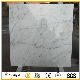  Custom Popular Bianco Carrara White Marble Tile for Wall/Floor
