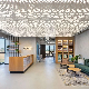  Pop Custom Aluminum LED Lighting Perforated Design Metal Ceiling Panel