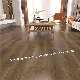 12.3mm 8.3mm E1 Oak High Gloss Wooden Laminated/Laminate Flooring