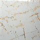 Wholesale Interior Wall and Floor Decoration Gold Spider Marble Tile