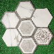  Healthy 200*230mm Carrara White Marble Hexagon Mosaic Honed Wall Tile