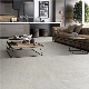 600*600mm Building Material Porcelain Floor Tile for Bathroom Balcony and Kitchen (DOL603G/GB)