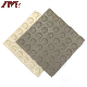 China Factory Wholesales Outdoor Flooring Ceramics Sidewalk Road Tile Floor Guiding Brick manufacturer