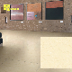 Soluble Salt Tiles Building Material Floor Tile for South America