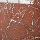  600X600 Clear Texture Red Marble Floor Tile