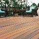  Co-Extrusion WPC Composite Deck Flooring Used for Swimming Pool