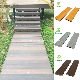 WPC Co Extrusion Floor Tile Stain Resistant Timber Garden Decking Low Price WPC Laminate Flooring Marine Deck Floor manufacturer