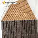 Waterproof WPC Co Extrusion Cladding Composite Siding Boards WPC Decking manufacturer