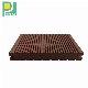 WPC Wood Plastic Composite Terrace Floor Price/ Solid WPC Decking Board manufacturer