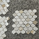 Italy White Marble Calacatta Gold Bathroom Tile Floor Tile Mosaic manufacturer