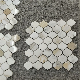 Italy White Marble Calacatta Gold Bathroom Tile Floor Tile Mosaic