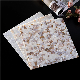  Shell Mosaic Tile Kitchen Backsplash Living Room Wall Decoration Mother of Pearl