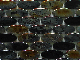  Black Oval Shape Iridescent Glass Mosaic Tiles