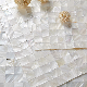 Natural Mother of Pearl Shell Mosaic Picture Tile