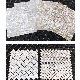 Decoration Mother of Pearl Shell Mosaic (Seashell) manufacturer