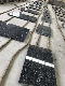 China Marble Jet Black Counter Tops / Vanity Tops