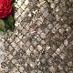 Natural Shell Mosaic Mother of Pearl Mosaic Tile manufacturer
