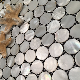 Round Freshwater Shell Mosaic with Joints on Mesh manufacturer