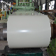 Ral9003 Magnetic White Hot Rolled Zinc Coated Galvanized Prepainted Steel Coil for Whiteboard manufacturer