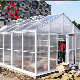 Large Hollow Sheet Venlo Type Greenhouse