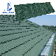 China Factory Green Stone Coated Roof Tile Spanish Style Roof Tiles Color Sheet for Roof with CE (ISO9001)