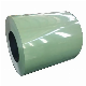 Factory Supply PPGI Sheet PPGI Steel Coils Color Coated Galvanized Steel Coil