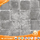  600X600mm 3D Inkjet Cement Rustic Floor Tile (JB6015D)