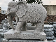Stone Marble Granite Elephant Carving Garden Elephant Statue/Sculpture for Sale manufacturer