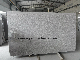  G603 Padang Crystal White Granite Slab for Floor and Worktop