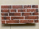  300*600mm 3D Inkjet Ceramic Wall Tile for Wall Building Material