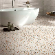 Porcelain Colorful Terrazzo Flooring Tiles Construction Material for Project manufacturer