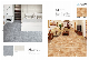 Unglazed Rustic Matt Carpet Porcelain Tile for Flooring Home Decoration manufacturer