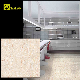 Unglazed Porcelain Floor Tile for Export manufacturer